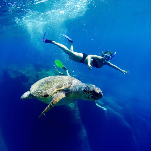 Карет-карета, поиски черепахи ( фотоохота) экскурсии boat trip